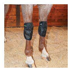 MagNTX Magnetic Therapy Knee Wraps for Horses