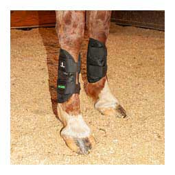 MagNTX Magnetic Therapy Tendon Wraps for Horses