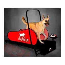 LF 3 1 Dog Pacer Treadmill