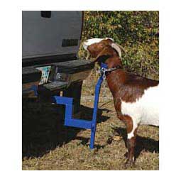 Equalizer Hitch for Goats