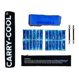Carry Cool Sport Horse Cooling Kit