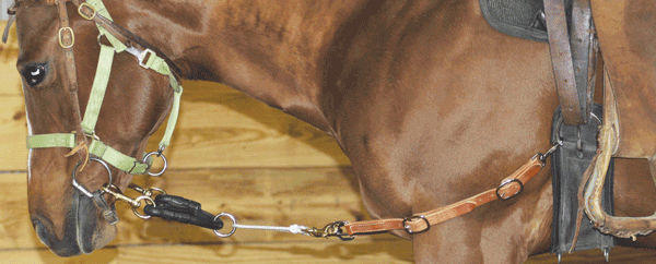 Humane Headsetter Position 2