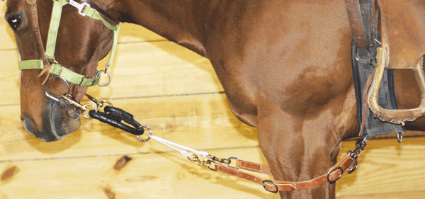 Humane Headsetter Position 4