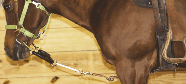 Humane Headsetter Position 4