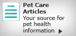 Pet Articles