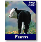 Visit the ValleyVet.com Farm & Ranch Catalog