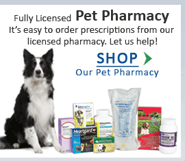Pet Meds