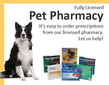 Discount pet meds coupon