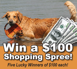 Pet Shopping Spree