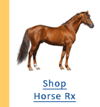 Horse Prescriptions