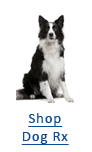 Dog Prescriptions