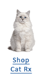Cat Prescriptions