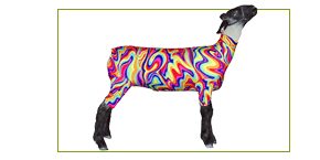 Goat Supplies