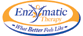 Enzymatic Therapy Brain & Memory Formulas Products