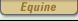 Equine Tack Supplies