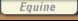Equine