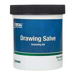 Drawing Salve for Dogs Horses