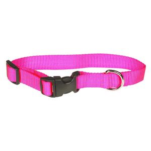 Hot Pink 1