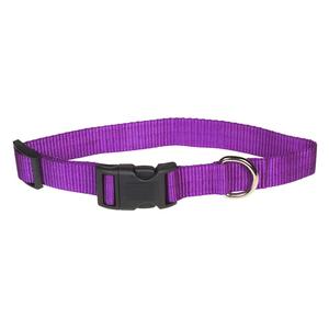 Purple 1