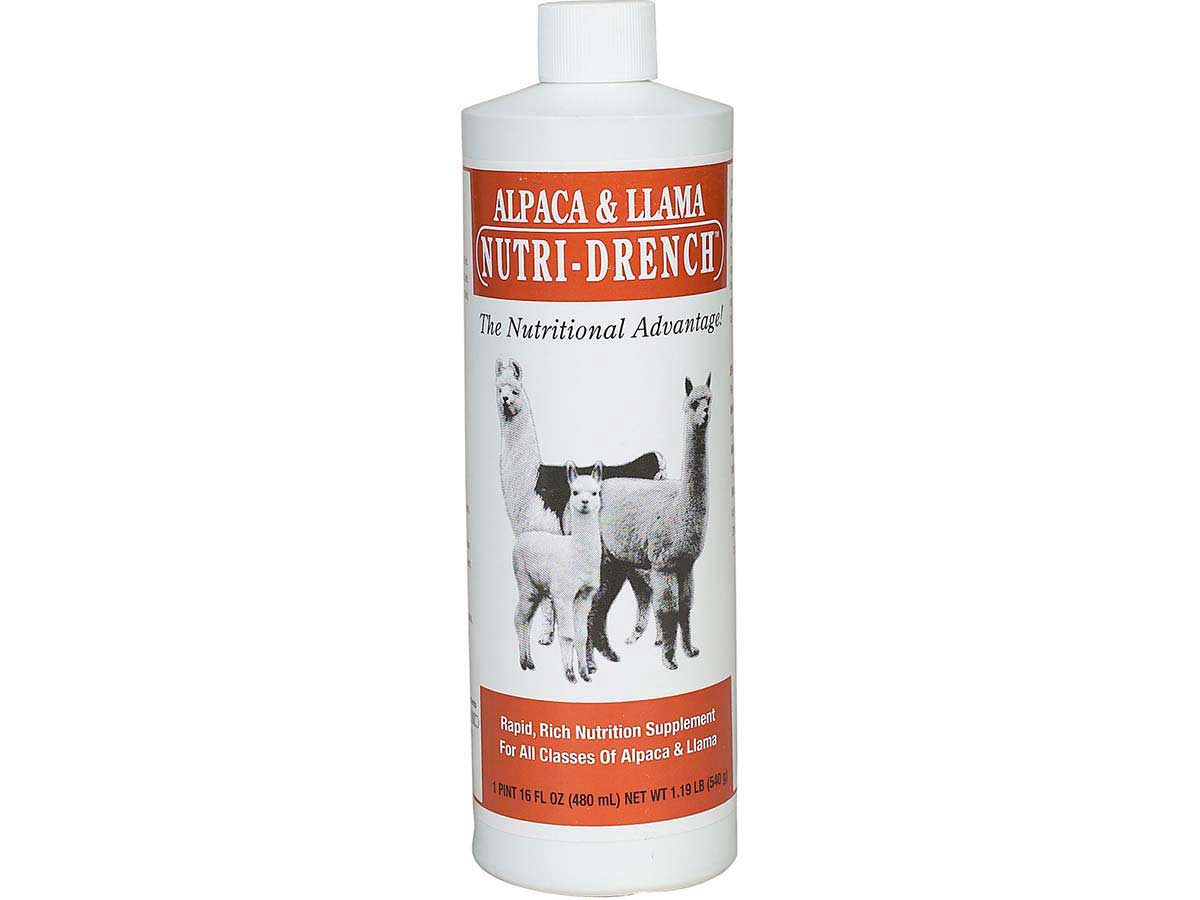 Alpaca Llama Nutri-Drench Bovidr Laboratories ( - Goat Sheep