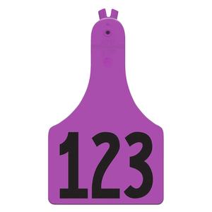 Purple A-Tag Ear Tags - Calf Numbered ID Tags