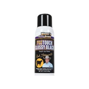 Glossy Black Stierwalt ProTouch Paint