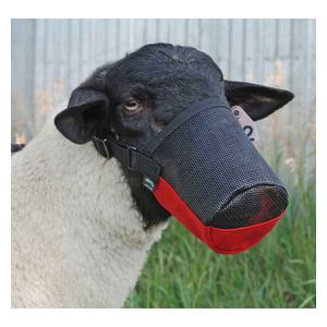 Red Deluxe Adjustable Goat/Sheep Muzzle