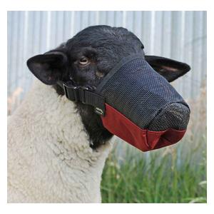 Deluxe Adjustable GoatSheep Muzzle Weaver Leather