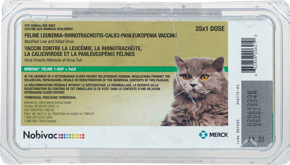 Nobivac Feline 1HCP+FeLV (Eclipse 3+FeLV) Merck ( Vaccines Cat