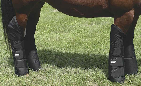 horse shipping boots