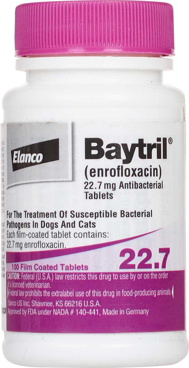 Baytril Antibacterial Tablets for Dogs and Cats Bayer ( - Pet Pharmacy (Rx) - Cat (Rx))