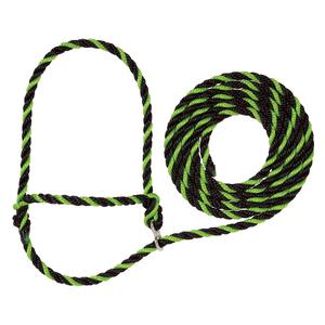 Lime/Black Stierwalt Breaking Halter