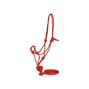 Red Halter w/Lead