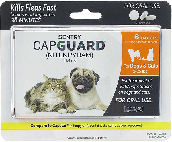 All Natural Worming Treatment for Dogs and Cats Easier Than Tablets