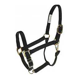 Personalized Horse Halter