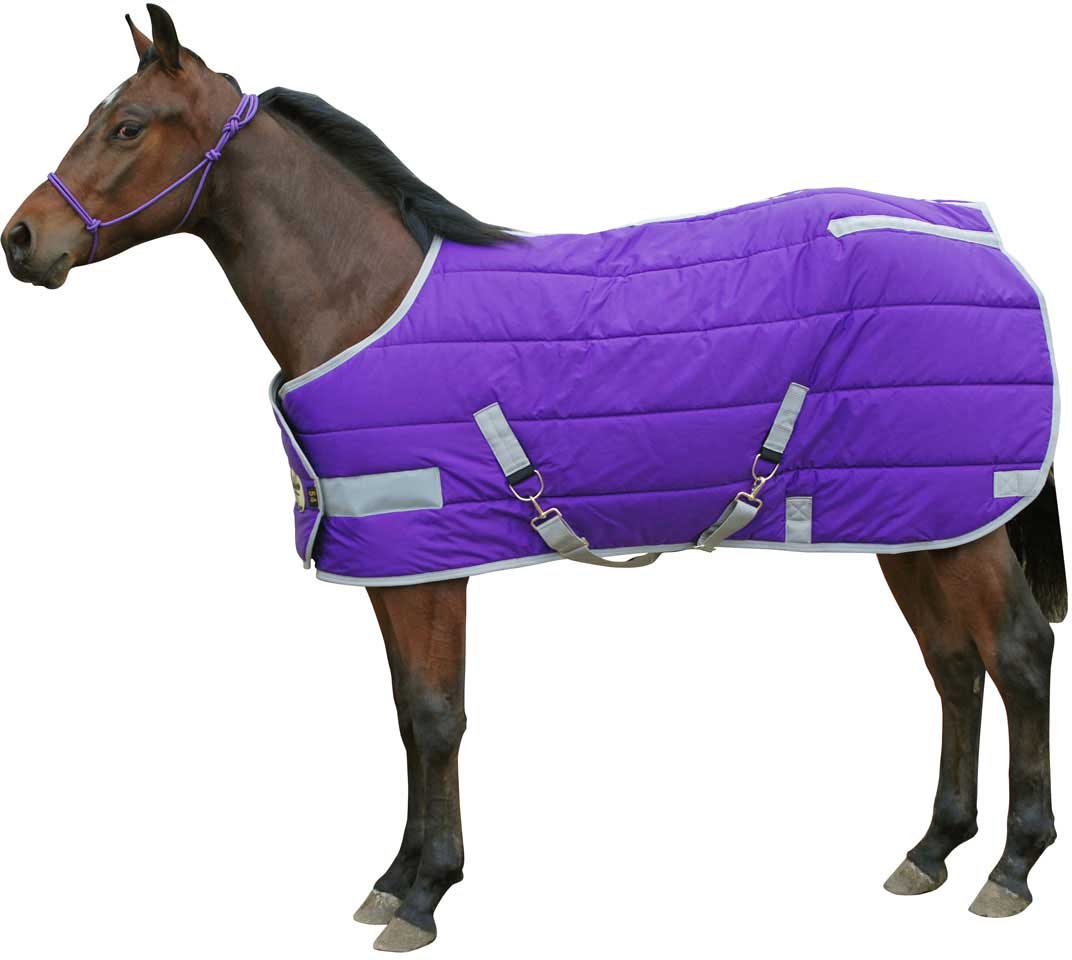 TheTheHorse BlanketShop offers a complete line ofTheTheHorse BlanketShop offers a complete line ofhorse blanketsfor theTheTheHorse BlanketShop offers a complete line ofTheTheHorse BlanketShop offers a complete line ofhorse blanketsfor thehorse, pony and foal for winter, spring, summer and fall. NOT JUSTTheTheHorse BlanketShop offers a complete line ofTheTheHorse BlanketShop offers a complete line ofhorse blanketsfor theTheTheHorse BlanketShop offers a complete line ofTheTheHorse BlanketShop offers a complete line ofhorse blanketsfor thehorse, pony and foal for winter, spring, summer and fall. NOT JUSTHORSE BLANKETS.