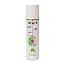 Enisyl F Oral Paste for Cats