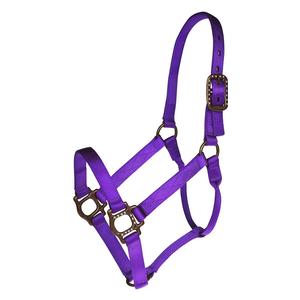 Purple Personalized Antique Dot Halter