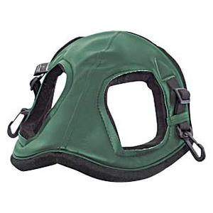Green Horse Helmet