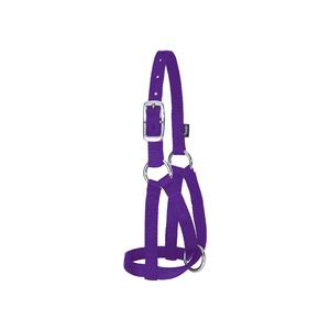 Purple M/L Nylon Llama Halter