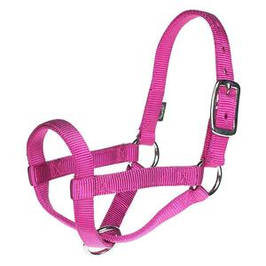 Raspberry M/L Nylon Llama Halter
