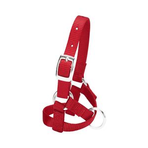 Red Baby Nylon Alpaca Halter