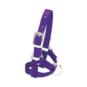 Purple Baby Nylon Alpaca Halter