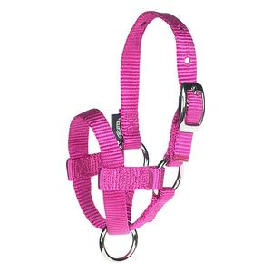 Raspberry Baby Nylon Alpaca Halter