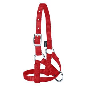 Red Average Nylon Alpaca Halter