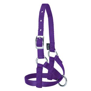 Purple Average Nylon Alpaca Halter