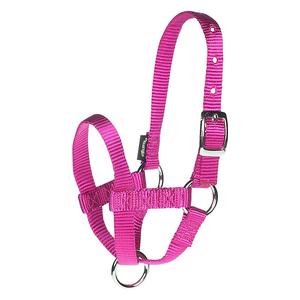 Raspberry Average Nylon Alpaca Halter