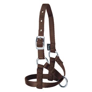 Brown Average Nylon Alpaca Halter