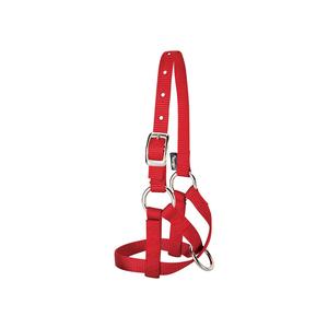 Red L Nylon Alpaca Halter