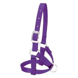 Purple L Nylon Alpaca Halter